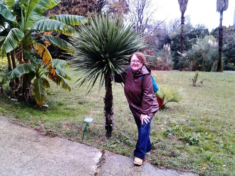 Бархатный ноябрь 2016. Сочи. Инструкция по применению. Часть 1.