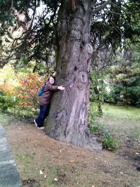 Бархатный ноябрь 2016. Сочи. Инструкция по применению. Часть 1.