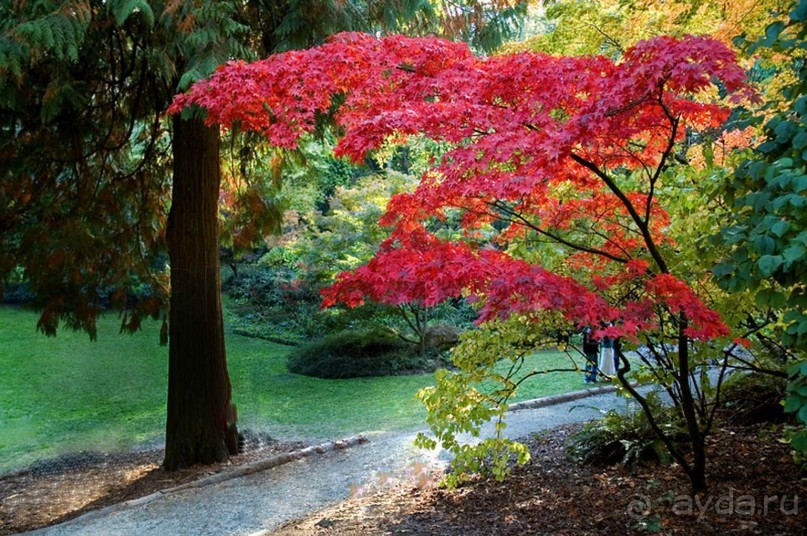 Бархатный ноябрь 2016. Сочи. Инструкция по применению. Часть 1.