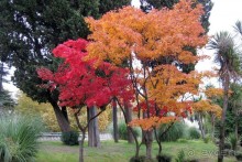 Бархатный ноябрь 2016. Сочи. Инструкция по применению. Часть 1.