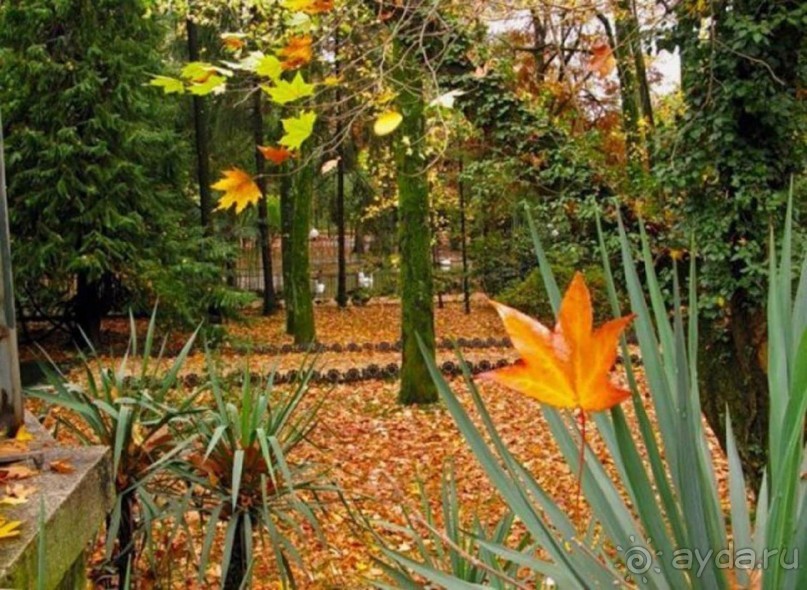 Бархатный ноябрь 2016. Сочи. Инструкция по применению. Часть 1.