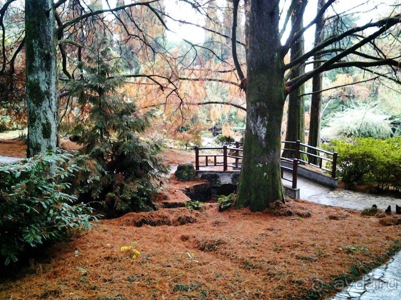 Бархатный ноябрь 2016. Сочи. Инструкция по применению. Часть 1.