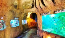 Альбом отзыва "Бархатный ноябрь 2016. Сочи. Инструкция по применению. Часть 1."