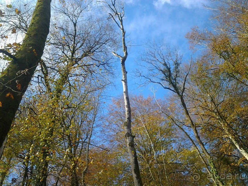 Бархатный ноябрь 2016. Сочи. Инструкция по применению. Часть 1.