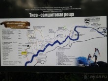 Бархатный ноябрь 2016. Сочи. Инструкция по применению. Часть 1.