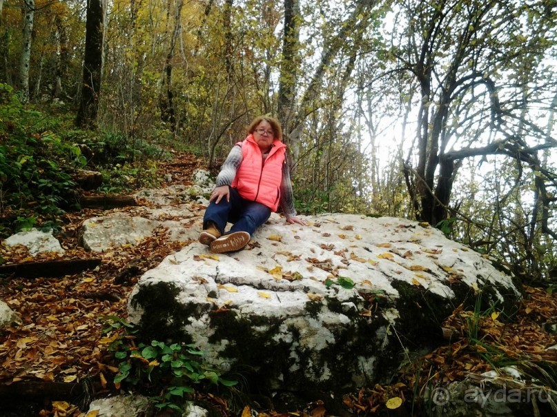 Бархатный ноябрь 2016. Сочи. Инструкция по применению. Часть 1.