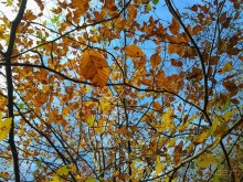 Бархатный ноябрь 2016. Сочи. Инструкция по применению. Часть 1.