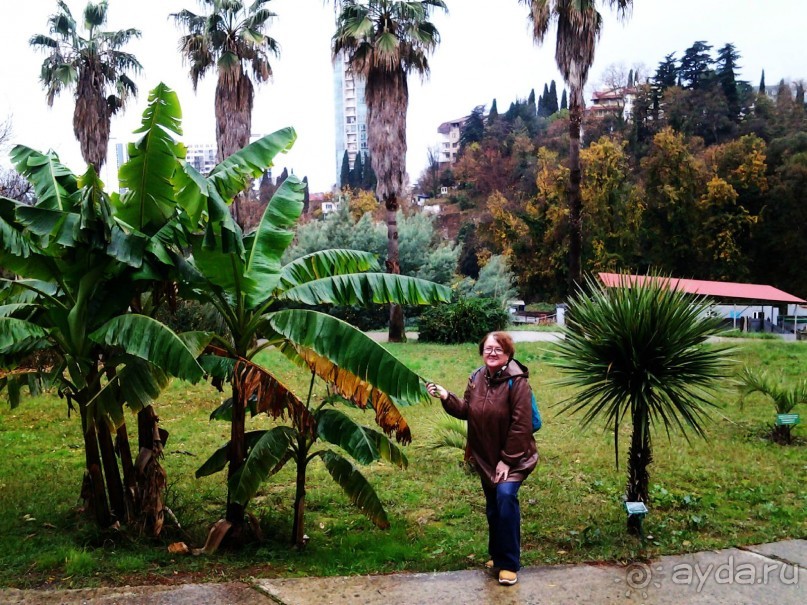 Бархатный ноябрь 2016. Сочи. Инструкция по применению. Часть 1.