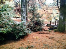 Бархатный ноябрь 2016. Сочи. Инструкция по применению. Часть 1.