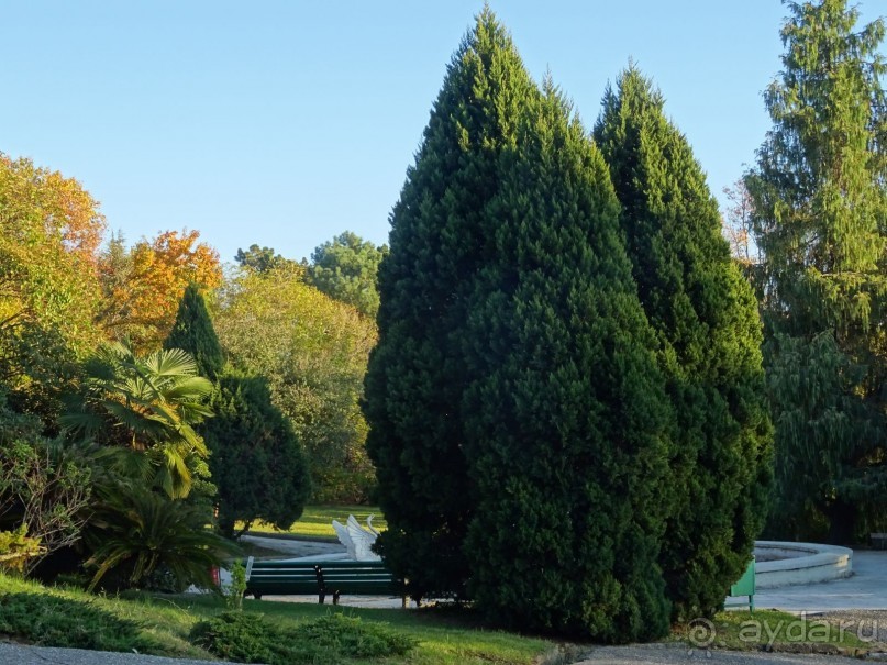 Бархатный ноябрь 2016. Сочи. Инструкция по применению. Часть 1.