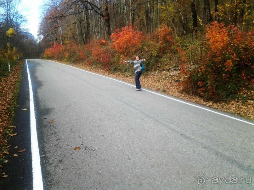 Бархатный ноябрь 2016. Сочи. Инструкция по применению. Часть 1.