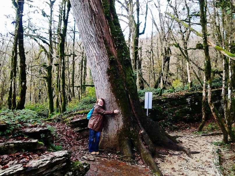 Бархатный ноябрь 2016. Сочи. Инструкция по применению. Часть 1.