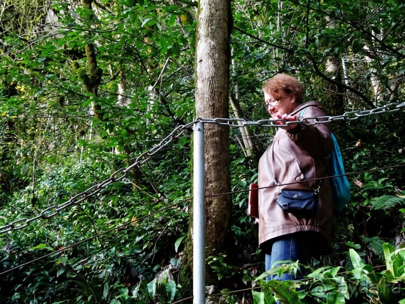 Бархатный ноябрь 2016. Сочи. Инструкция по применению. Часть 1.