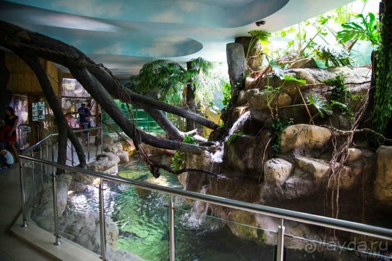 Бархатный ноябрь 2016. Сочи. Инструкция по применению. Часть 1.