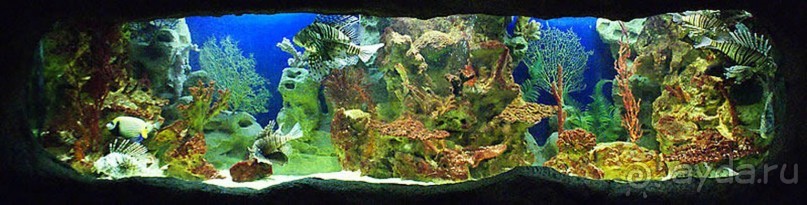 Бархатный ноябрь 2016. Сочи. Инструкция по применению. Часть 1.