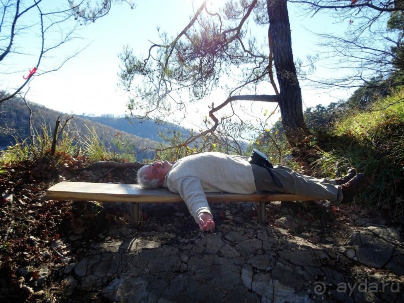 Бархатный ноябрь 2016. Сочи. Инструкция по применению. Часть 1.