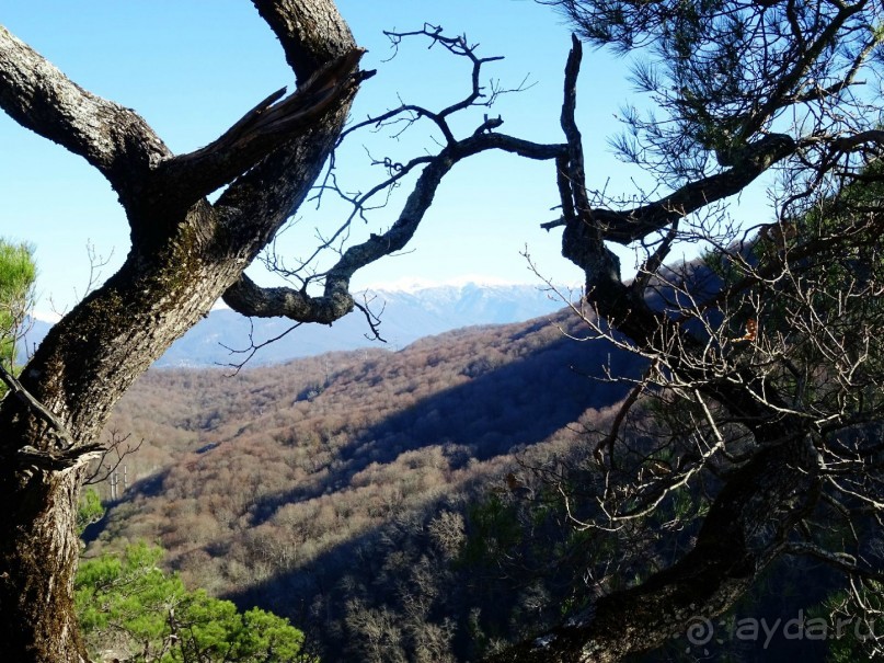 Бархатный ноябрь 2016. Сочи. Инструкция по применению. Часть 1.