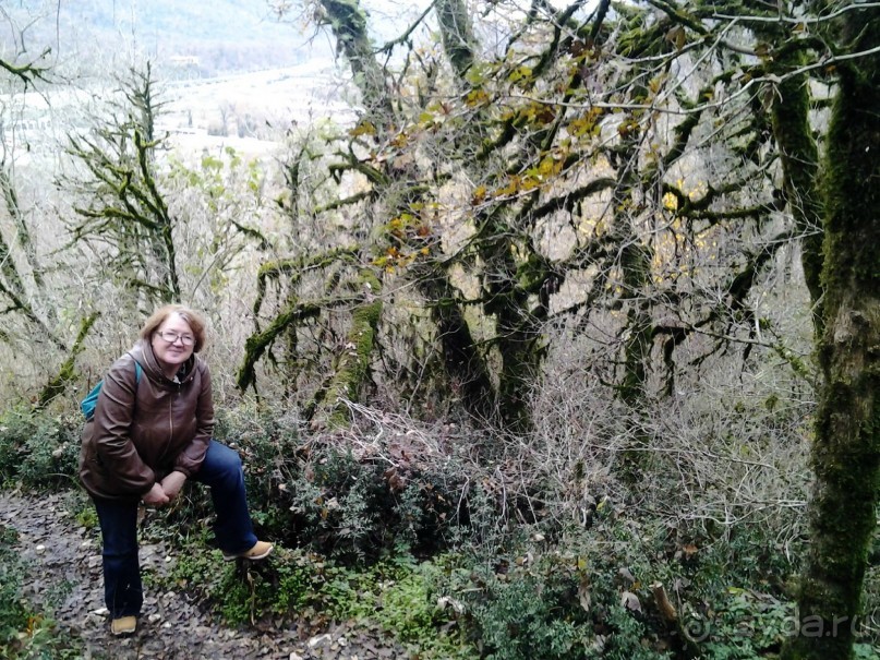 Бархатный ноябрь 2016. Сочи. Инструкция по применению. Часть 1.