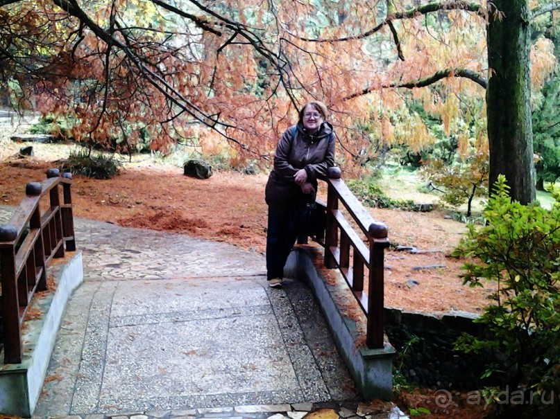 Бархатный ноябрь 2016. Сочи. Инструкция по применению. Часть 1.