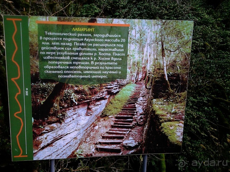 Бархатный ноябрь 2016. Сочи. Инструкция по применению. Часть 1.