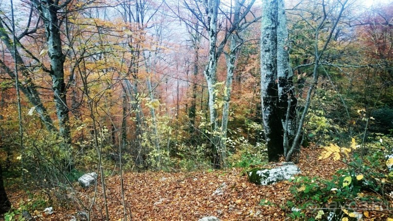 Бархатный ноябрь 2016. Сочи. Инструкция по применению. Часть 1.