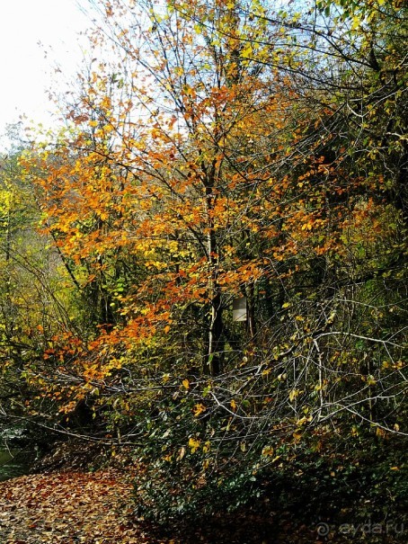 Бархатный ноябрь 2016. Сочи. Инструкция по применению. Часть 1.