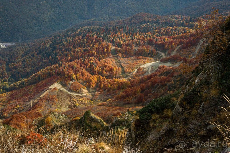 Бархатный ноябрь 2016. Сочи. Инструкция по применению. Часть 1.