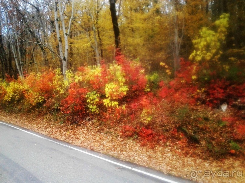 Бархатный ноябрь 2016. Сочи. Инструкция по применению. Часть 1.