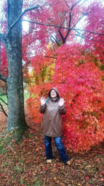 Бархатный ноябрь 2016. Сочи. Инструкция по применению. Часть 1.