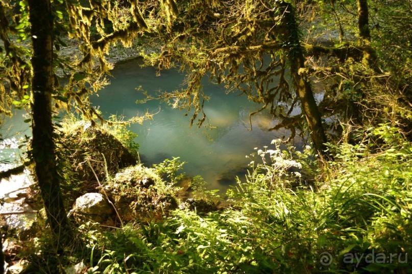 Бархатный ноябрь 2016. Сочи. Инструкция по применению. Часть 1.