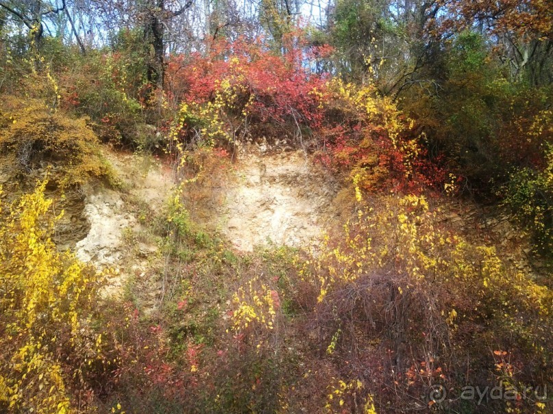 Бархатный ноябрь 2016. Сочи. Инструкция по применению. Часть 1.