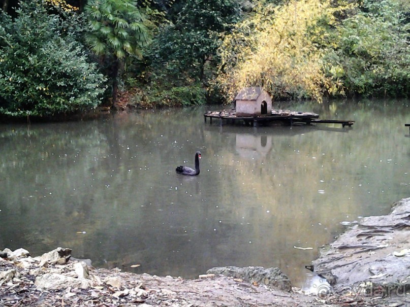 Бархатный ноябрь 2016. Сочи. Инструкция по применению. Часть 1.