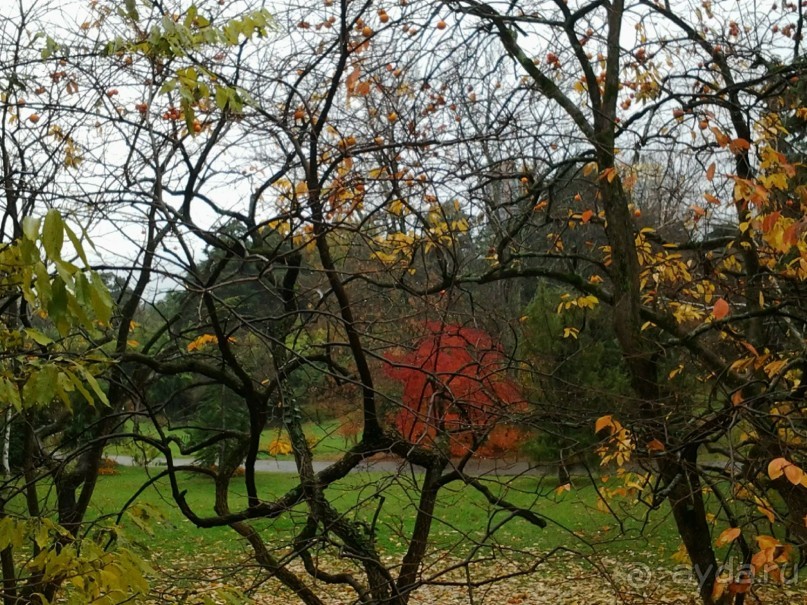 Бархатный ноябрь 2016. Сочи. Инструкция по применению. Часть 1.