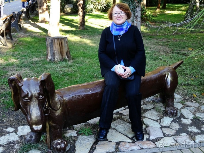 Бархатный ноябрь 2016. Сочи. Инструкция по применению. Часть 1.