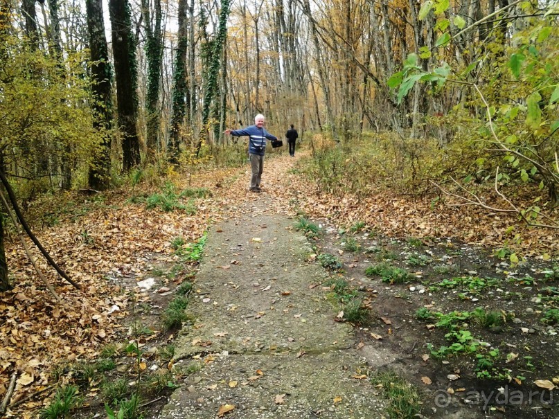 Бархатный ноябрь 2016. Сочи. Инструкция по применению. Часть 1.
