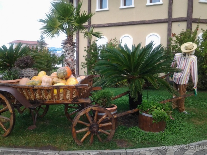 Бархатный ноябрь 2016. Сочи. Инструкция по применению. Часть 1.