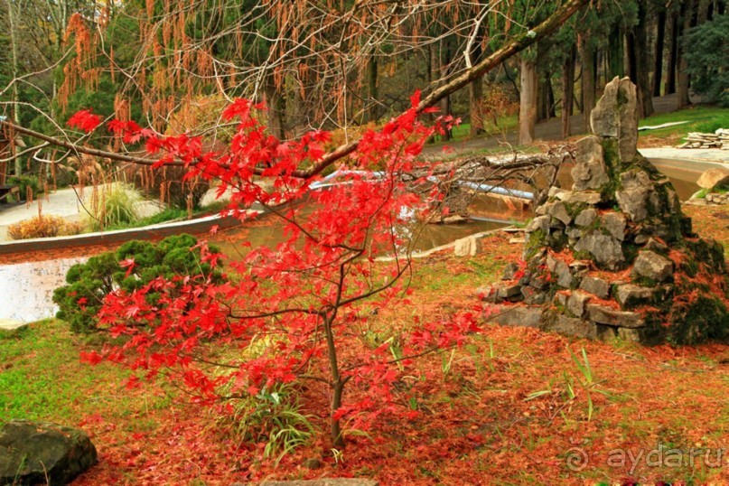 Бархатный ноябрь 2016. Сочи. Инструкция по применению. Часть 1.