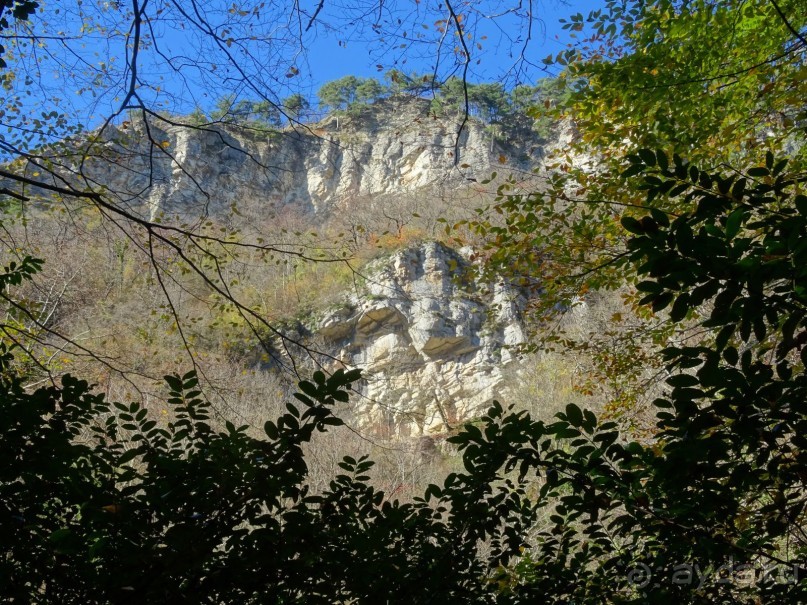 Бархатный ноябрь 2016. Сочи. Инструкция по применению. Часть 1.