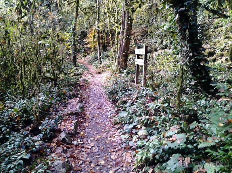 Бархатный ноябрь 2016. Сочи. Инструкция по применению. Часть 1.