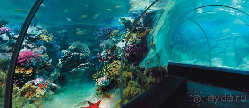 Бархатный ноябрь 2016. Сочи. Инструкция по применению. Часть 1.