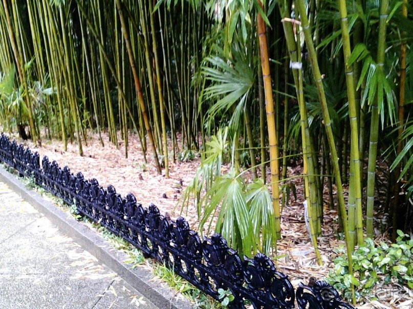 Бархатный ноябрь 2016. Сочи. Инструкция по применению. Часть 1.