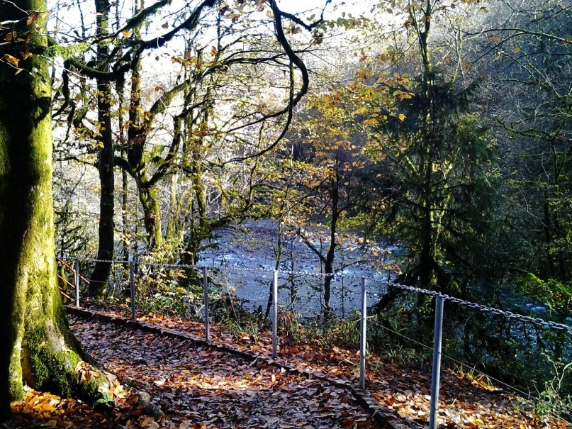 Бархатный ноябрь 2016. Сочи. Инструкция по применению. Часть 1.