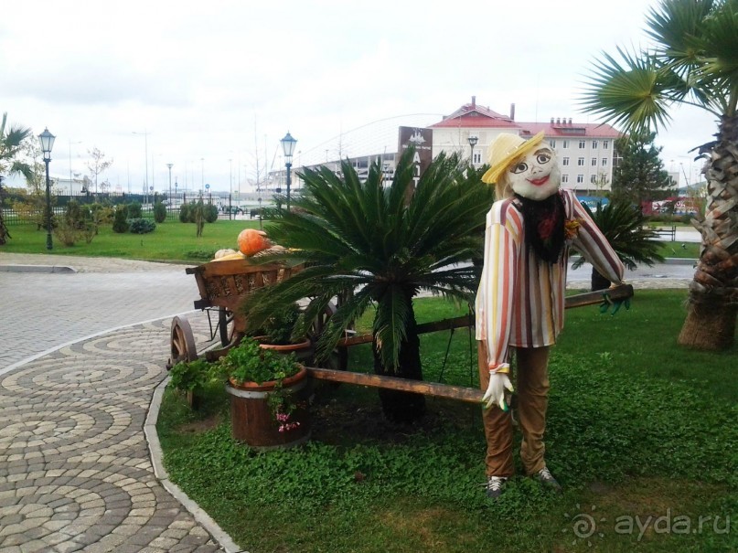 Бархатный ноябрь 2016. Сочи. Инструкция по применению. Часть 1.