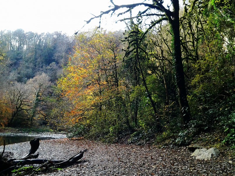 Бархатный ноябрь 2016. Сочи. Инструкция по применению. Часть 1.