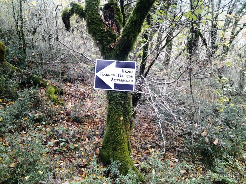 Бархатный ноябрь 2016. Сочи. Инструкция по применению. Часть 1.