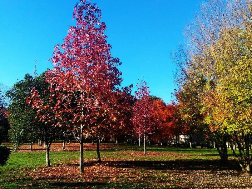 Бархатный ноябрь 2016. Сочи. Инструкция по применению. Часть 1.