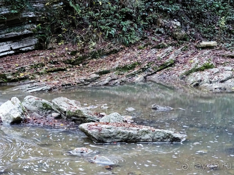 Бархатный ноябрь 2016. Сочи. Инструкция по применению. Часть 1.