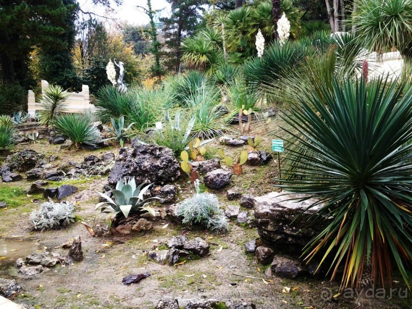 Бархатный ноябрь 2016. Сочи. Инструкция по применению. Часть 1.