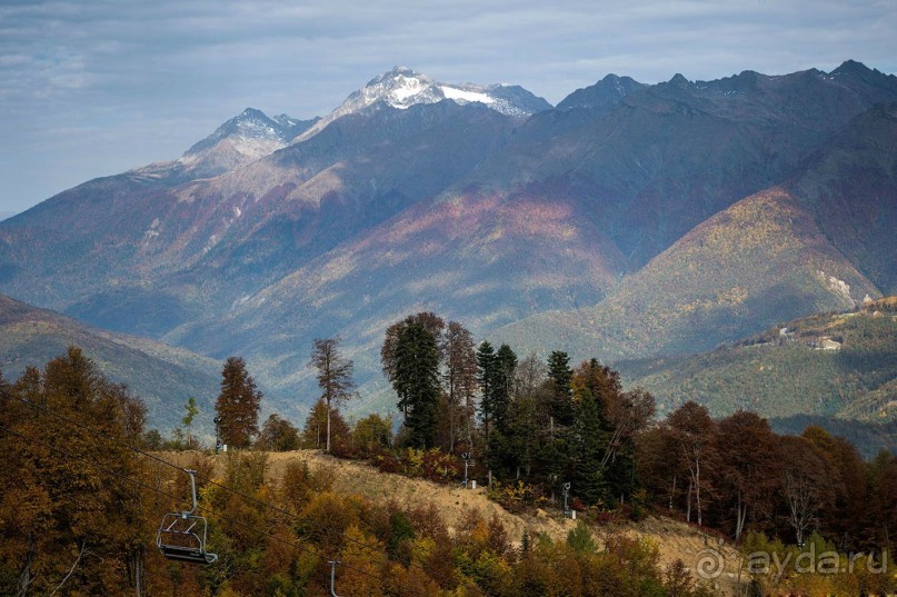 Бархатный ноябрь 2016. Сочи. Инструкция по применению. Часть 1.