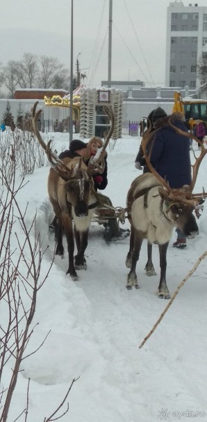 Тула - новогодняя столица России 2018/2019. 